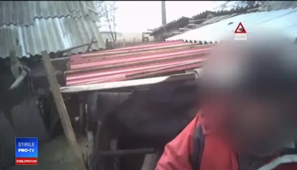 CAMERA ASCUNSĂ. Porci, vânduți din zonele afectate de pestă. ”E injectat, are tot”