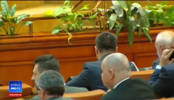 Ideea deputatului PSD Cătălin Rădulescu: cât de ușor scapi dacă faci evaziune