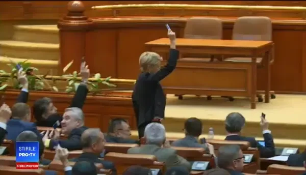 PNL cere iar demiterea lui Dragnea. Şeful deputaţilor PSD: "Doar boii sunt consecvenţi"