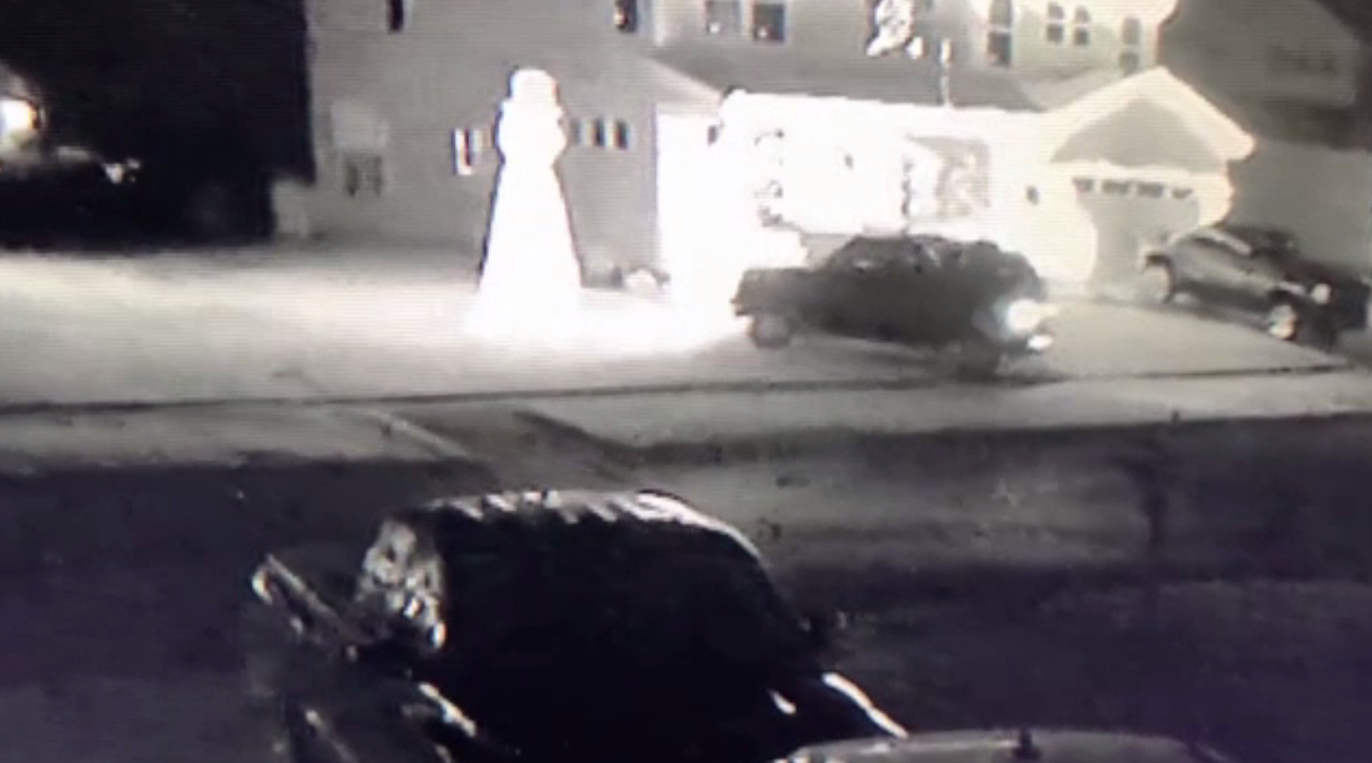 Grinch și-a făcut apariție în casa unei familii din SUA. Cum a distrus toate decorațiunile