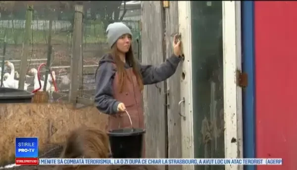 Prietenia neobișnuită dintre un bărbat și o cămilă. Legătura dintre ei este unică