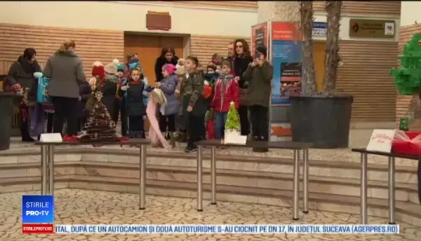 Brazi de Crăciun neobișnuiți. Pomul creat de câțiva elevi din Galați: costă 500 de lei