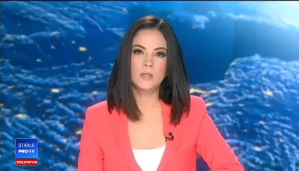 Liderii USR au discutat cu premierul Viorica Dăncilă despre codurile penale