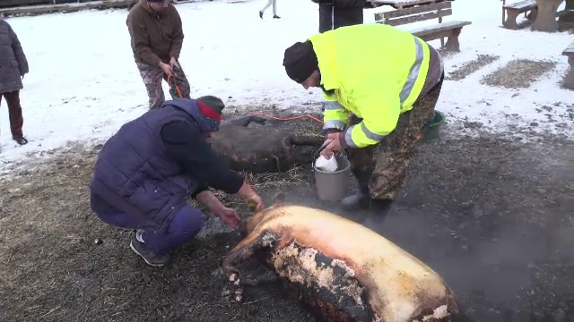 Festival pomana porcului