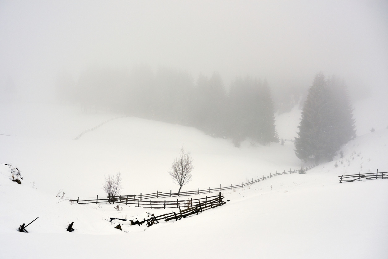 Cod galben de ninsori şi viscol în estul țării. HARTA zonelor afectate