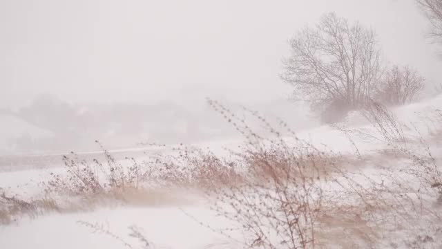 Cod galben de ninsori şi viscol în două județe. Atenționare nowcasting de la ANM