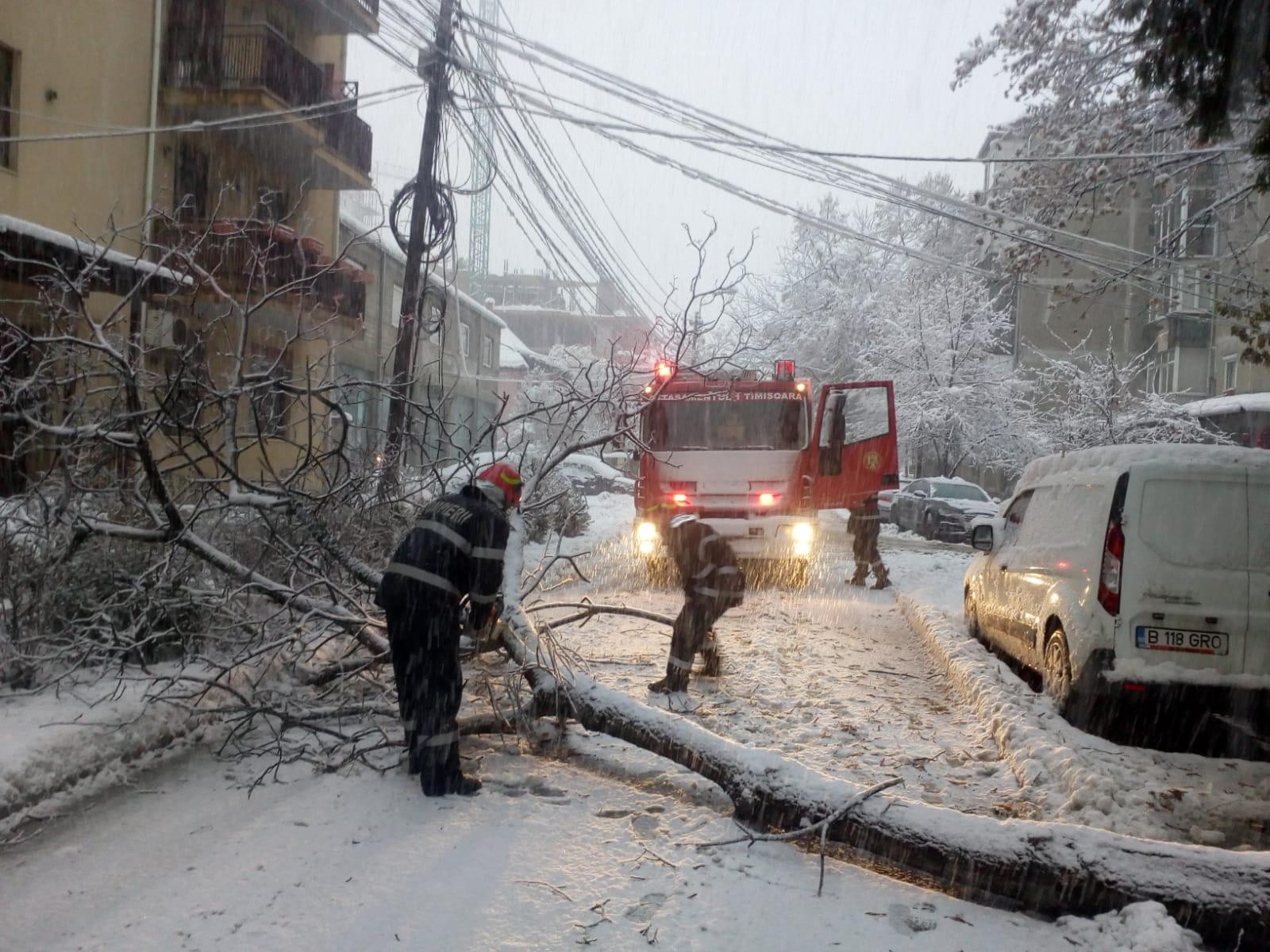 ninsoare, vreme rea, iarna, incidente