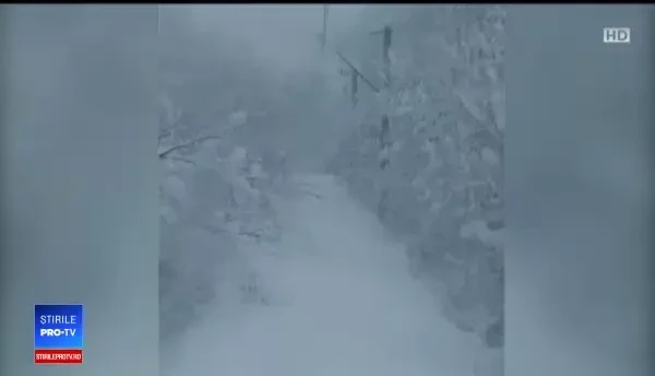 Condițiile inumane în trenurile blocate: fără apă, căldură sau acces la toalete