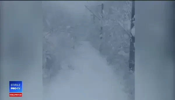 Reacția călătorilor blocați ore-n șir în trenuri: „25 de ore, inadmisibil aşa ceva”