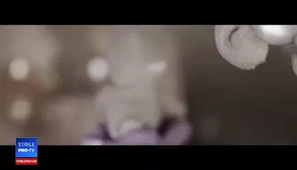 Toți copiii născuți în maternitățile de stat beneficiază de control auditiv gratuit