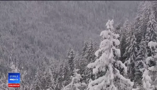 Peisaj idilic cu păduri virgine pe Valea Drăganului. Cât costă o noapte de cazare de Crăciun