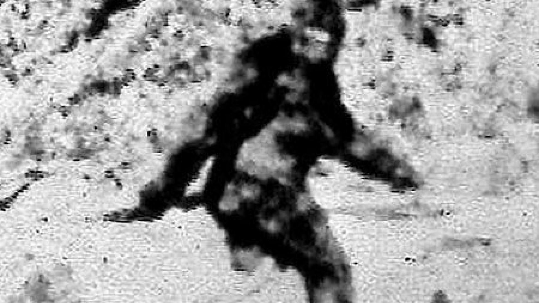 Un vânător a crezut că îl vede pe Bigfoot şi a început să tragă. Ce a împuşcat în realitate
