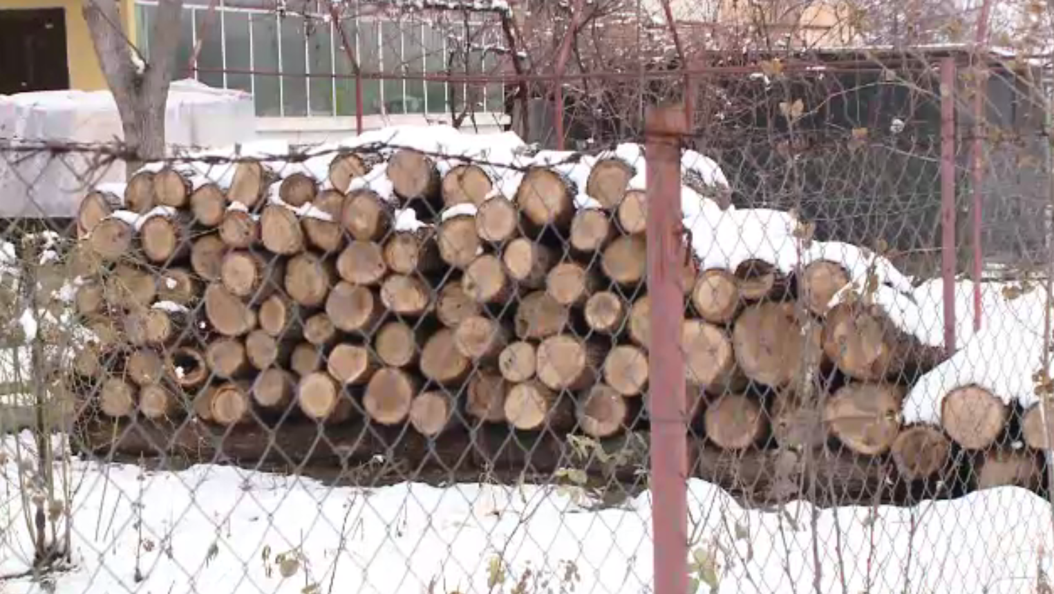 Românii refuză lemnele vândute de Direcţiile Silvice. De unde iau în schimb