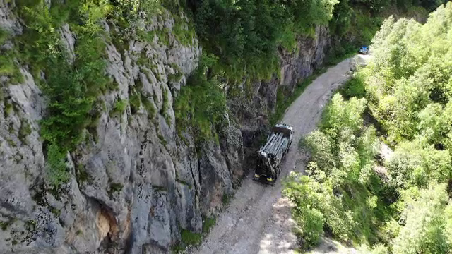 Motivul pentru care fermierii români fug de banii dați de stat pentru a planta copaci