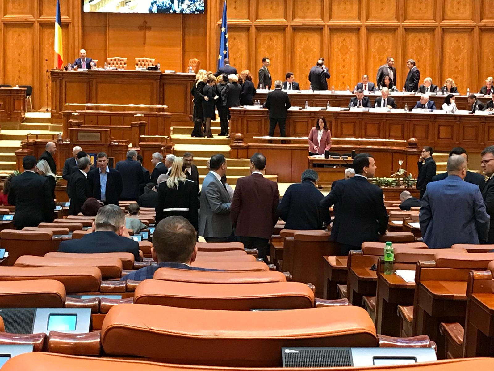 Versuri în Parlament: ”Degeaba aveţi 10 la economie, bugetul dumneavoastră e o poezie”