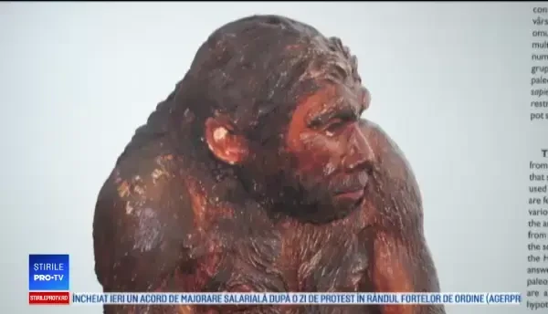 Descoperirea cercetătorilor români despre omul de Neanderthal. Va schimba istoria
