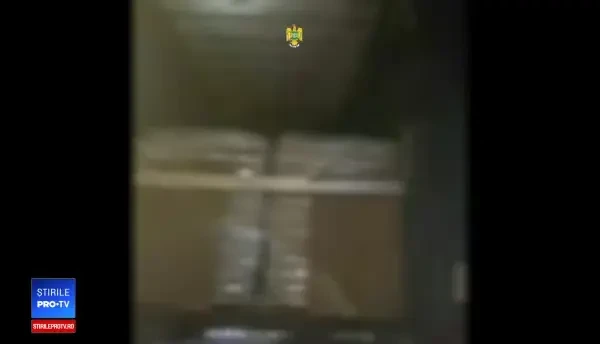 Un camionagiu a declarat la vamă că are coji de seminţe în TIR. Ce ascundea