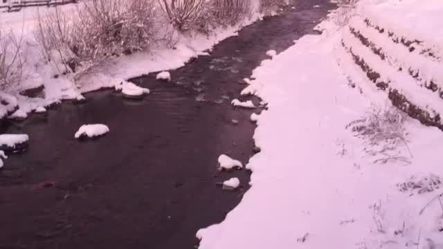 Primii suspecți în cazul bebelușului ucis. Era încă în viață când a fost aruncat în râu