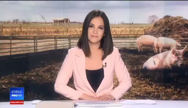 20 de porci, tăiaţi în curtea muzeului Goleşti. Carnea va ajunge la copiii din orfelinate şi la bătrânii din cămine