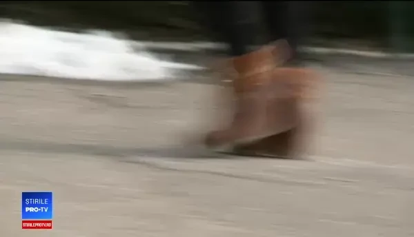 ”Nu țipa, mergi cu mine”. O minoră, ultima victimă a recidiviștilor eliberați în masă