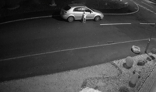 Câine surprins de camere în timp ce își ”imploră” stăpânul să nu-l abandoneze. VIDEO