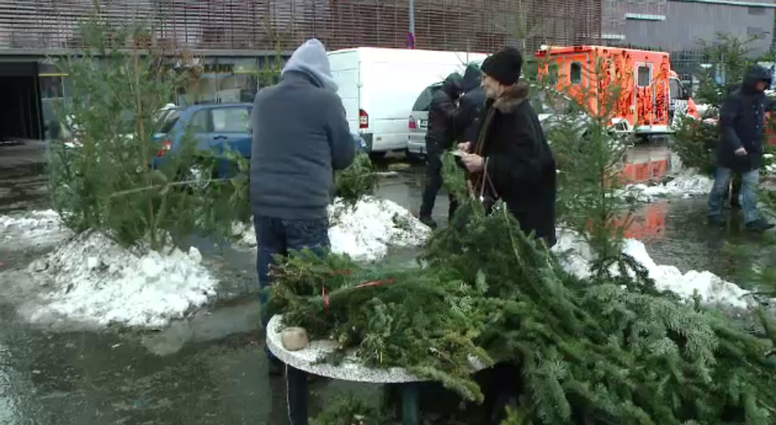 Diferența de preț dintre un brad de Crăciun cumpărat în Germania, comparativ cu România