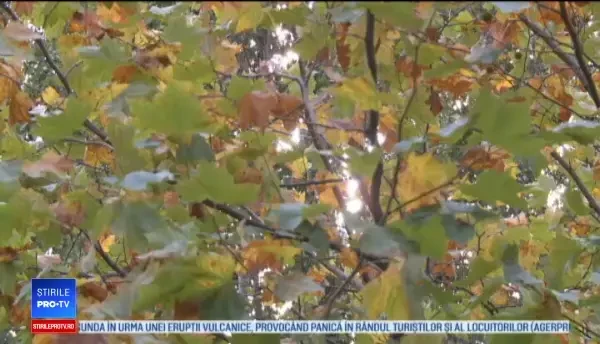 Horoscop 24 decembrie 2018. Zodia căreia i se schimbă complet viaţa înainte de Crăciun