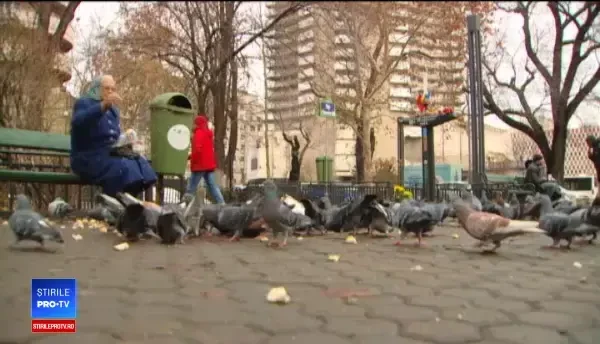 Adevărata frumusețe a sărbătorilor: ”Ar fi trist dacă doar de Crăciun am fi mai buni”