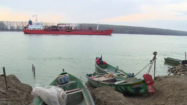 Peste 10 ani, România ar putea rămâne fără pește. Avertismentul cercetătorilor