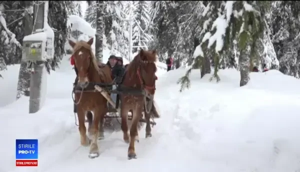 Plimbări cu sănii trase de cai și bucate tradiționale, în inima Țării Moților