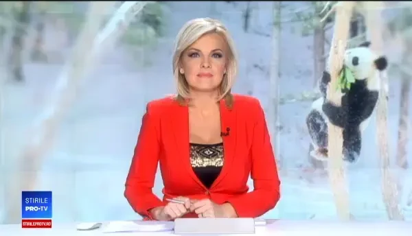 Ursul panda Bei Bei, împrumutat americanilor de China, se va întoarce acasă