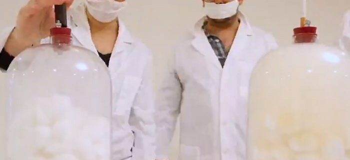 Diferențele între tutun și țigările electronice. Experimentul realizat de experți. VIDEO