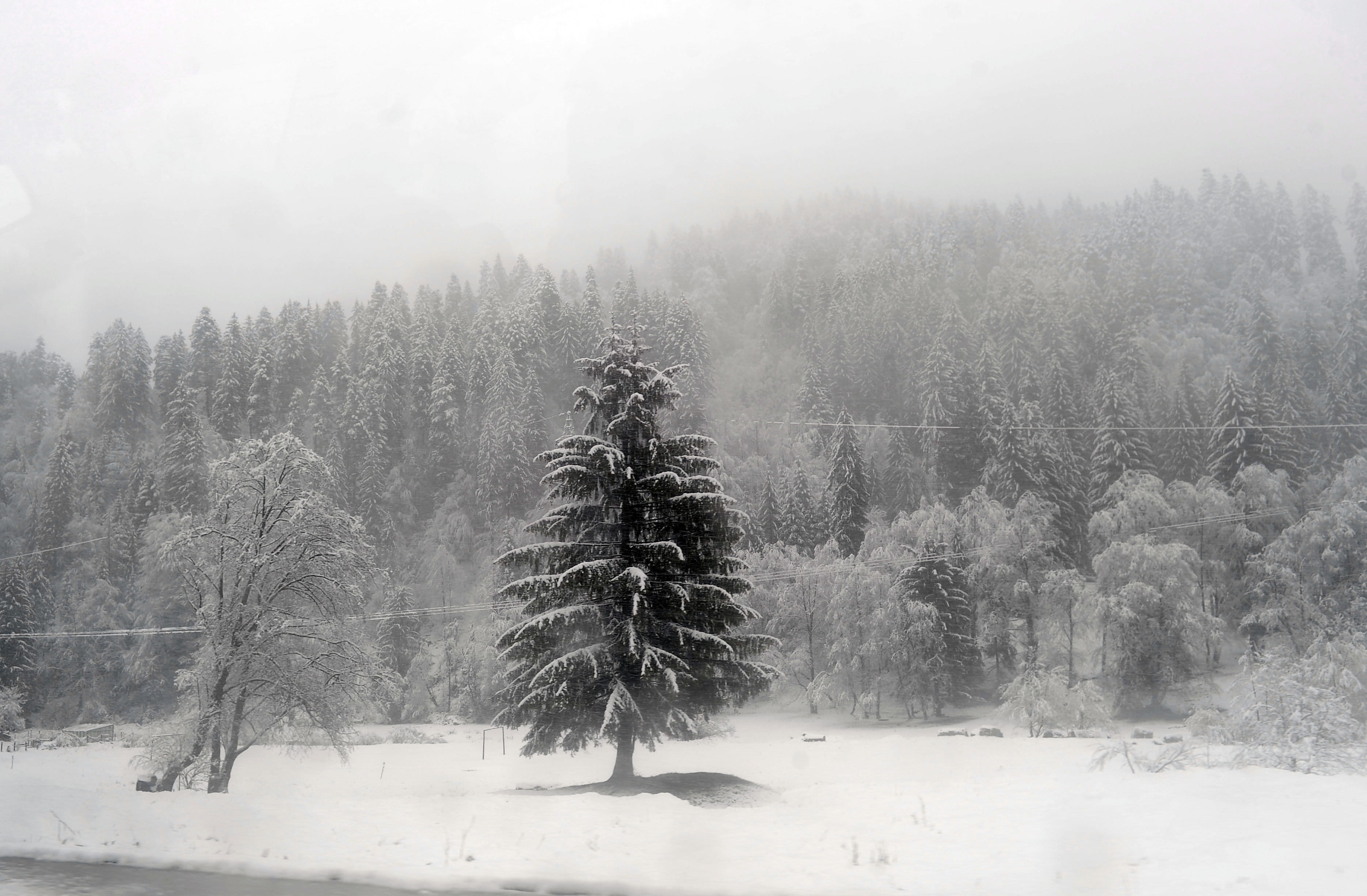 Ofertele pregătite de hotelierii români pentru turiştii care au ales să petreacă Revelionul pe Valea Prahovei