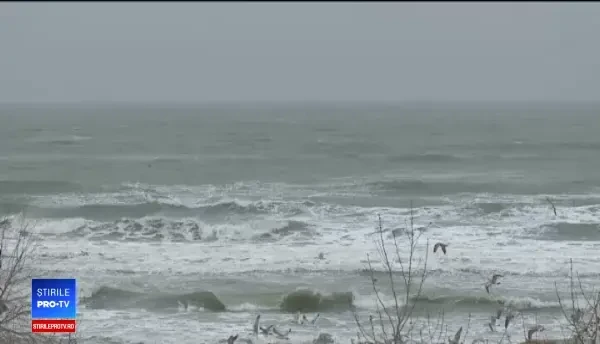 Preţuri mari pe Litoral de Revelion. Cât de mult costă un sejur în Mamaia