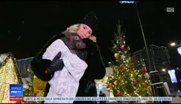 Motivul pentru care rușii oferă porci în dar. Sumele uriașe cu care se vând animalele