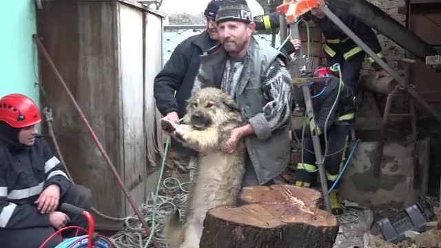 Un cățel a fost recuperat dintr-o fântână de 13 metri, în Târgu Mureș