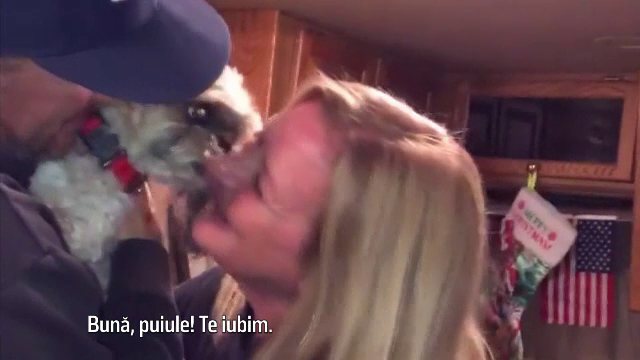 Povestea unei cățelușe care a regăsit drumul spre casă după 3 ani și jumătate