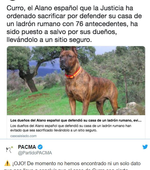 caine, spania, hot, roman