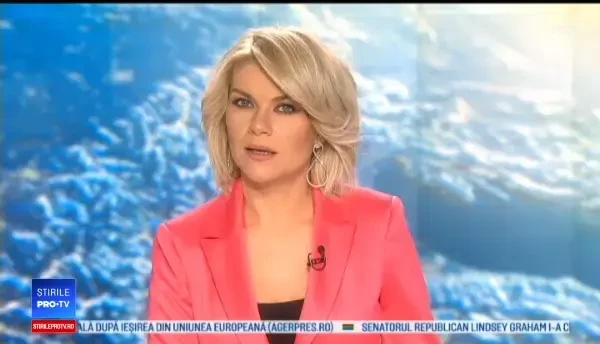 Statul unde pet-shopurile nu mai au voie să vândă decât animale abandonate