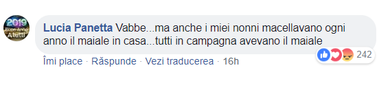 rom&acirc;ni porc