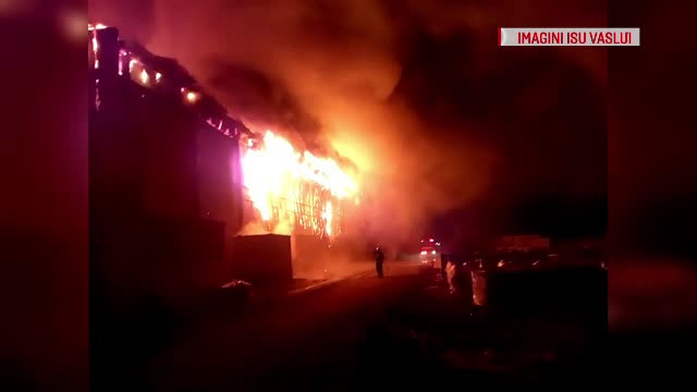 Fermă de păsări de 2 mil. de €, din Vaslui, mistuită de flăcări. Explicația proprietarului