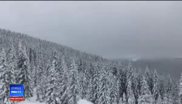 Obârşia Lotrului, zonă spectaculoasă de la poalele Parângului: ”E mirific aici!”