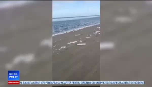 270 de containere, inclusiv unele cu substanțe chimice, au căzut în Marea Nordului
