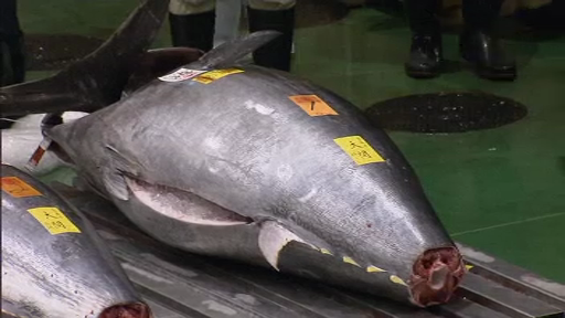 Sumă record plătită pentru un ton la prima licitație din acest an în Japonia