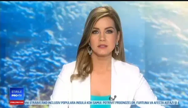 Pui de pisică salvat de pe autostradă, de un polițist. Ce a făcut apoi în mașina agentului