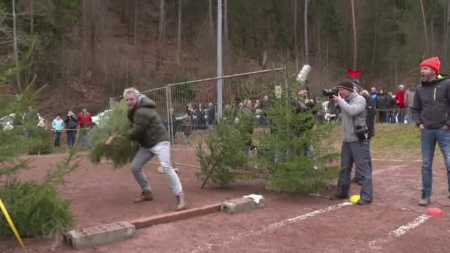 Despodobitul bradului a devenit în Germania un concurs distractiv