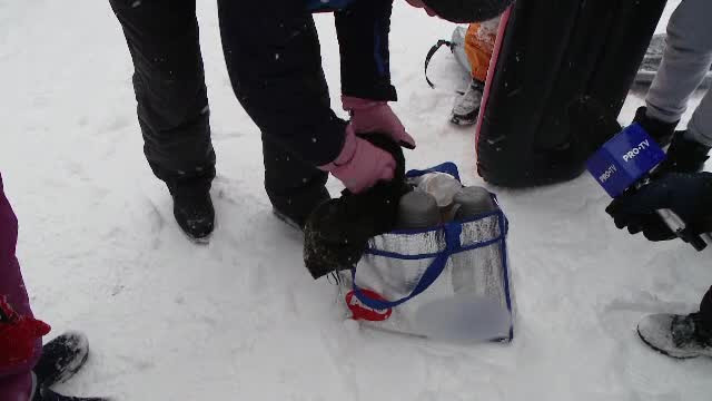 În loc de limuzine şi blănuri, turiştii moldoveni vin cu mâncare de acasă în sacoşe