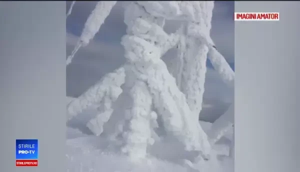 Regiunea din România în care s-au înregistrat minus 13 grade: „Tremurăm”