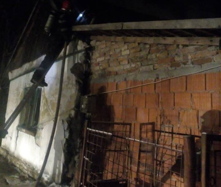 Pompierii din Timiș au intrat într-o casă cuprinsă de flăcări ca să salveze mai mulți câini