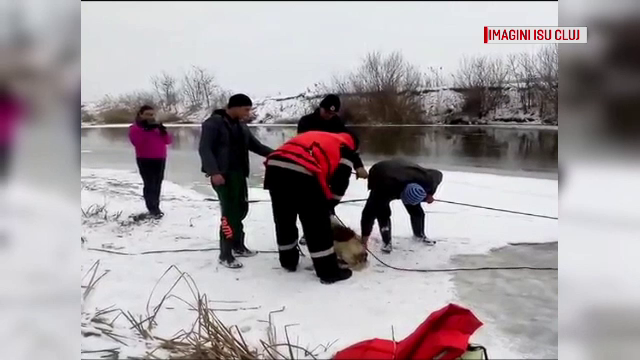 Cățel rămas captiv pe gheața de pe Someș, salvat de pompieri în Cluj